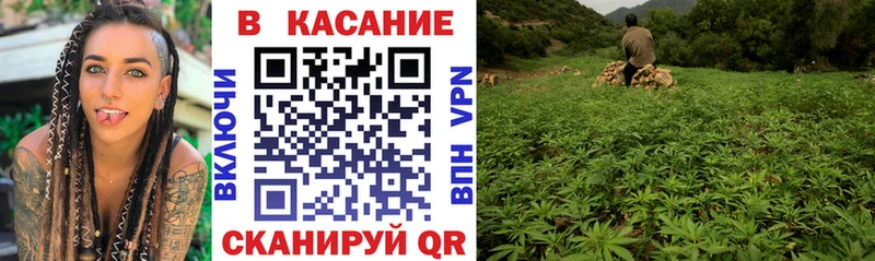 Купить закладку A PVP  Меф  Кокаин  Гашиш  Канабис  Новосокольники