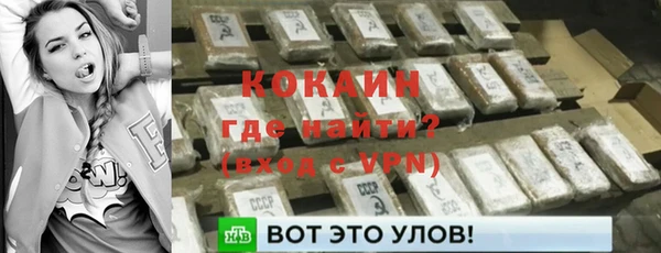 гашик Ладушкин