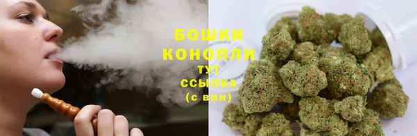 гашик Ладушкин