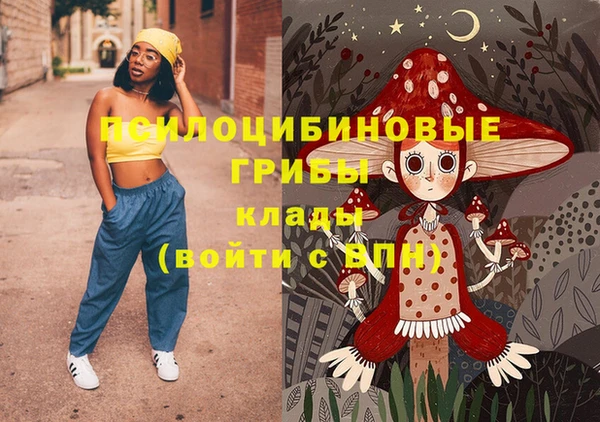 гашик Ладушкин