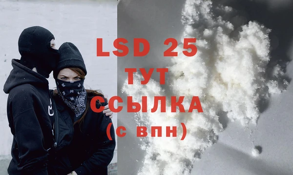 гашик Ладушкин